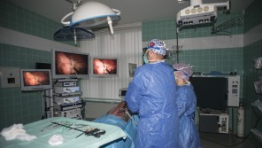 Preventivní 3D laparoskopická kastrace feny